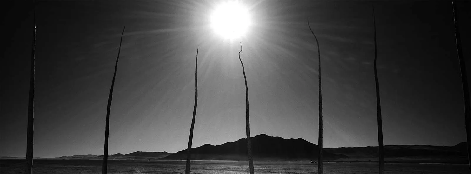 Utopia I (乌托邦之一), Burning Man, 2005, photo 9 by Felix Tian