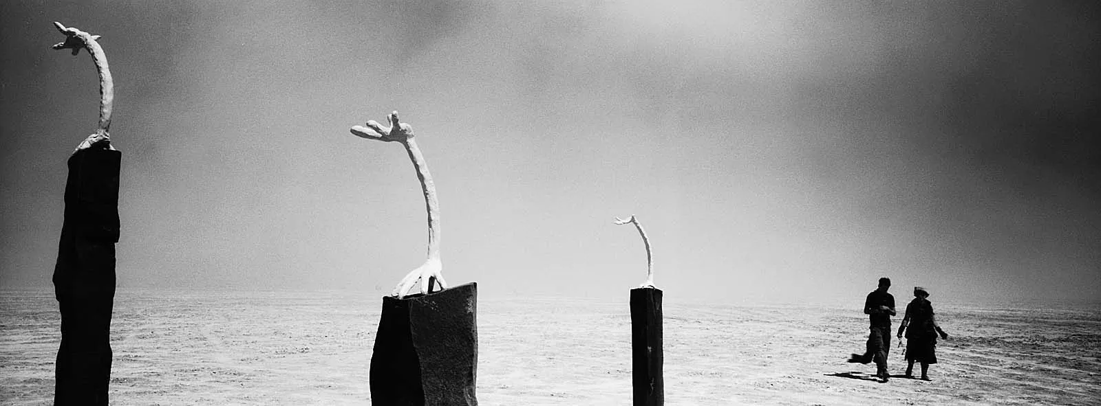 Utopia IV (乌托邦之四), Burning Man, 2008, photo 3 by Felix Tian