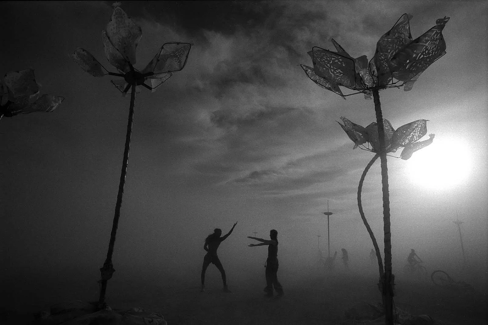 Utopia IX (乌托邦之九), Burning Man, 2014, photo 7 by Felix Tian