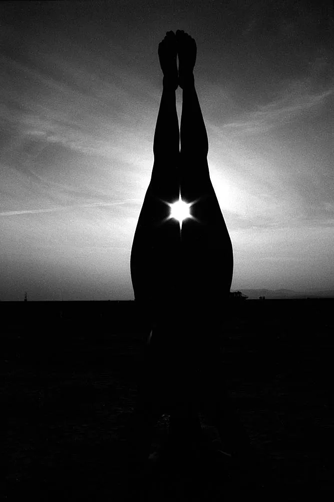 Utopia IX (乌托邦之九), Burning Man, 2014, photo 9 by Felix Tian