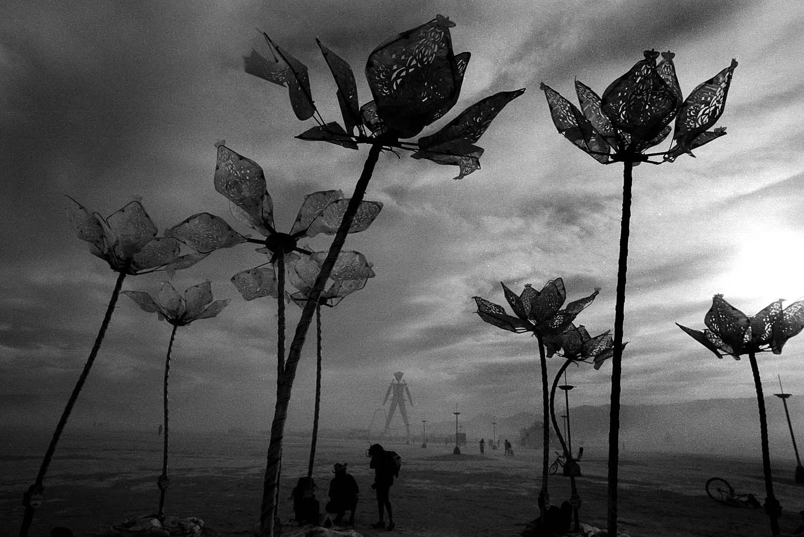 Utopia IX (乌托邦之九), Burning Man, 2014, photo 37 by Felix Tian