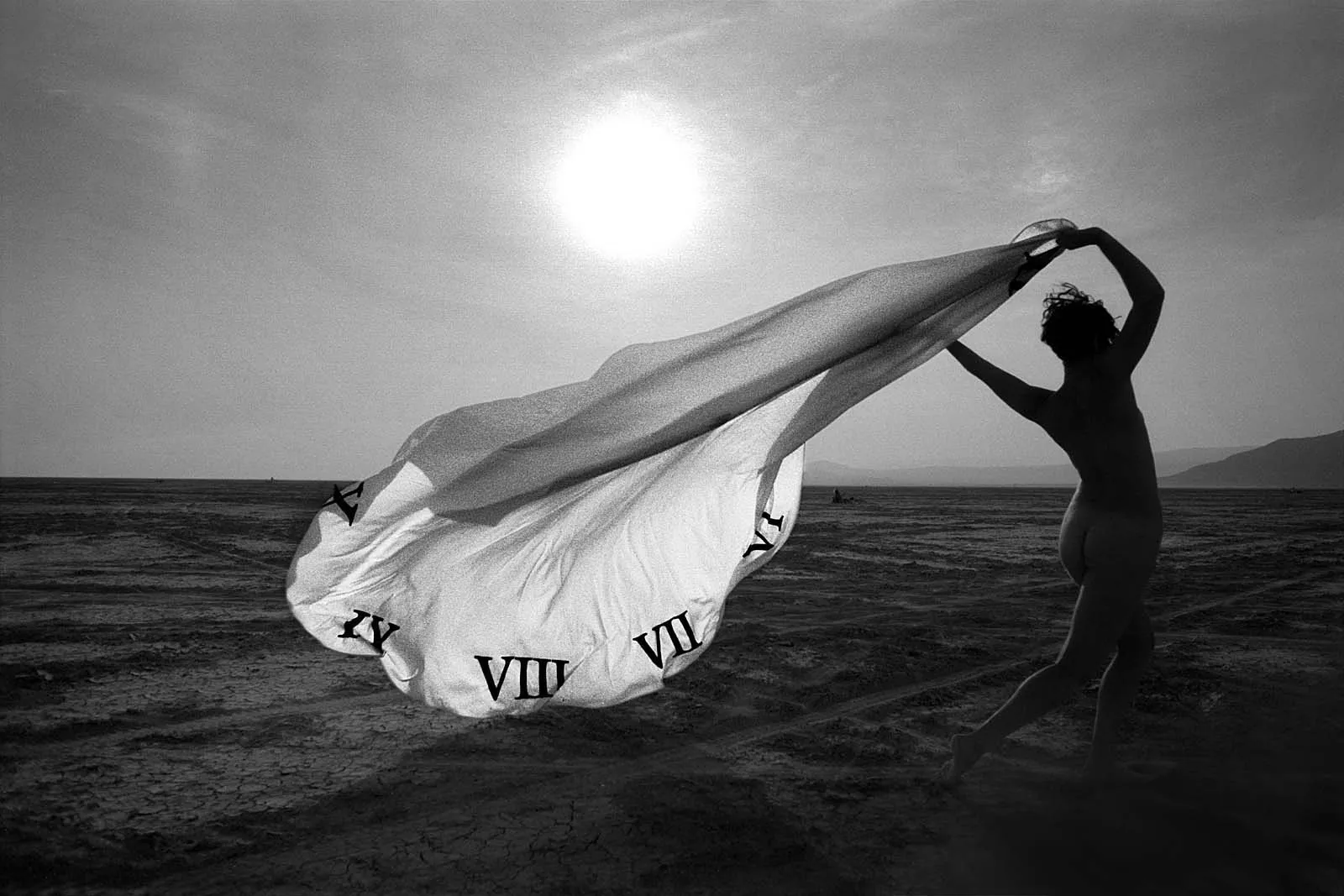 Utopia IX (乌托邦之九), Burning Man, 2014, photo 39 by Felix Tian
