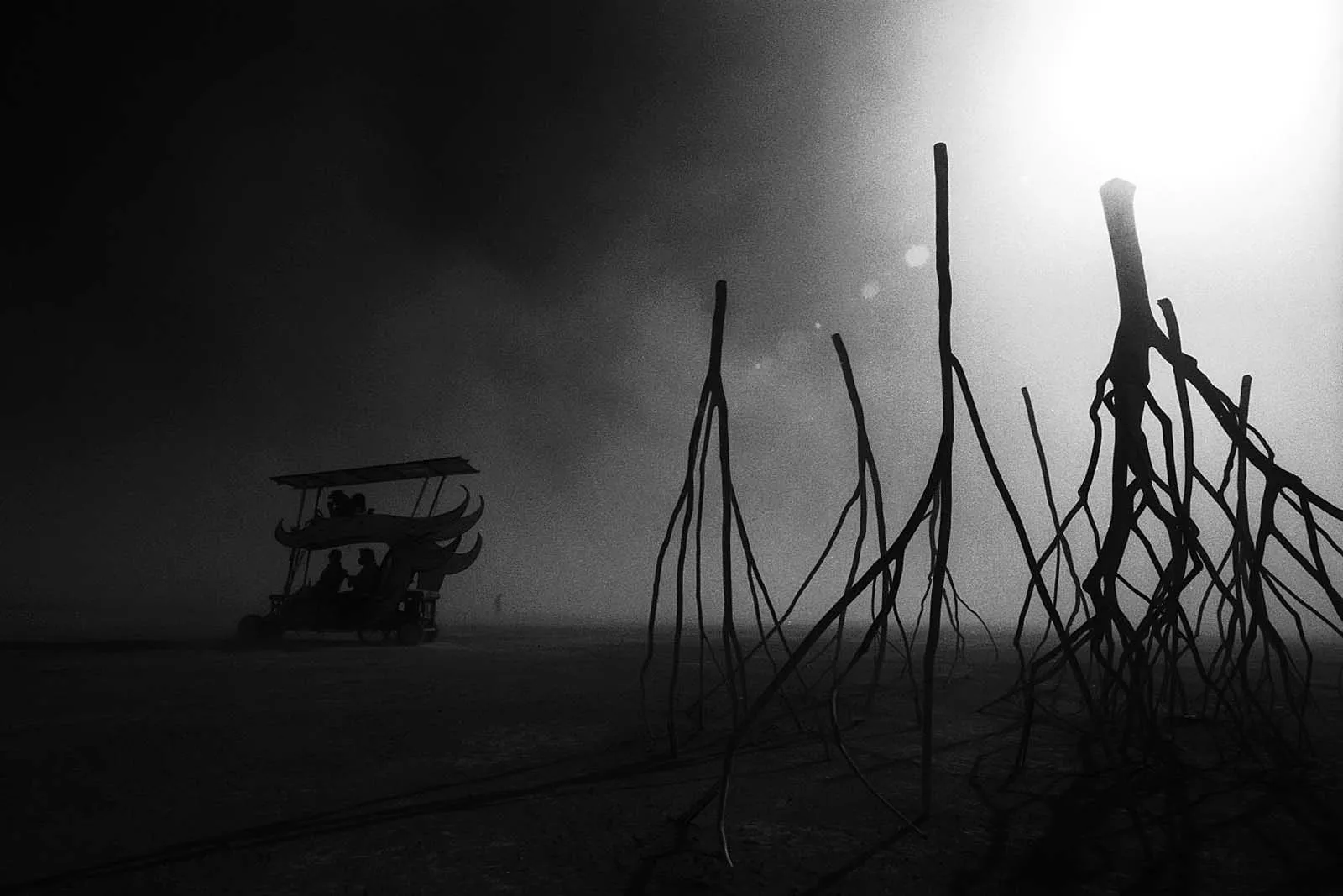 乌托邦之六（Utopia VI）火人节，2010，第 30 张，田城黑白红外摄影