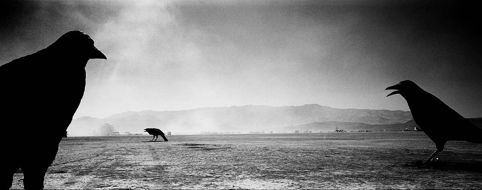 Utopia XI (乌托邦之十一), Burning Man, 2016, photo 28 by Felix Tian