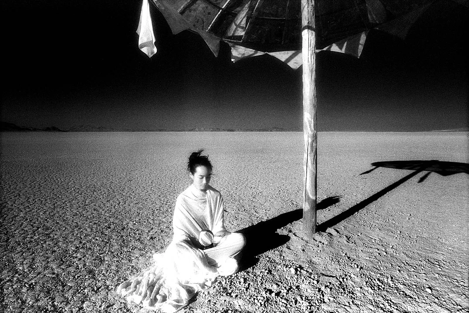 Utopia VII (乌托邦之七), Burning Man, 2011, photo 12 by Felix Tian