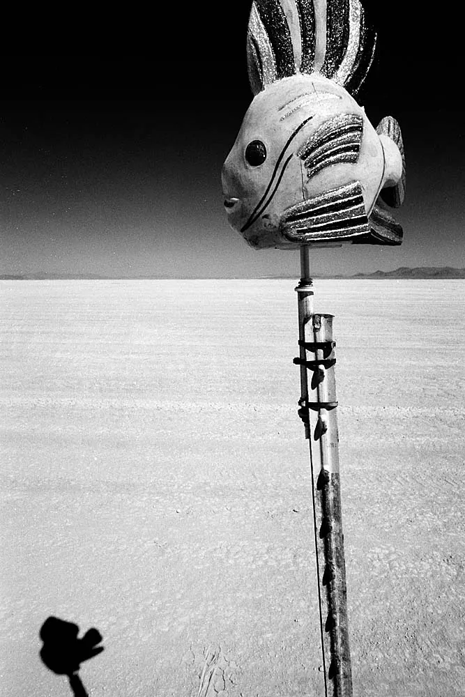 Utopia VII (乌托邦之七), Burning Man, 2011, photo 13 by Felix Tian