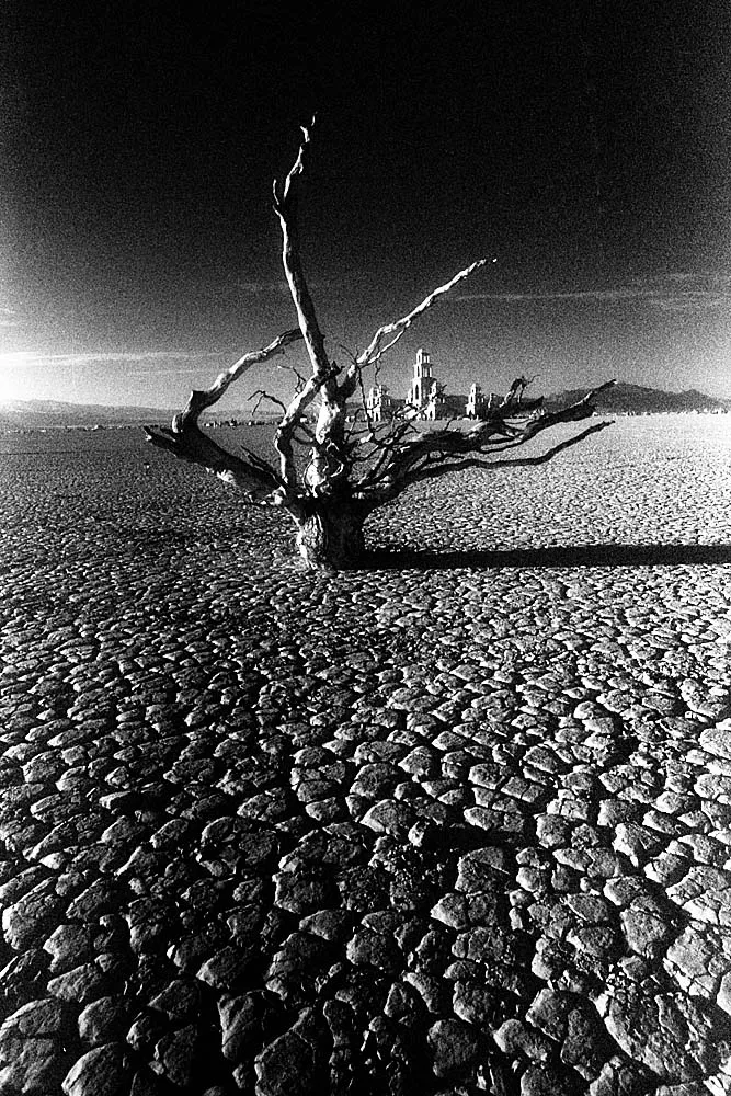 Utopia VII (乌托邦之七), Burning Man, 2011, photo 14 by Felix Tian