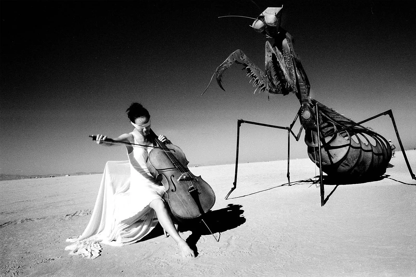Utopia VIII (乌托邦之八), Burning Man, 2012, photo 10 by Felix Tian