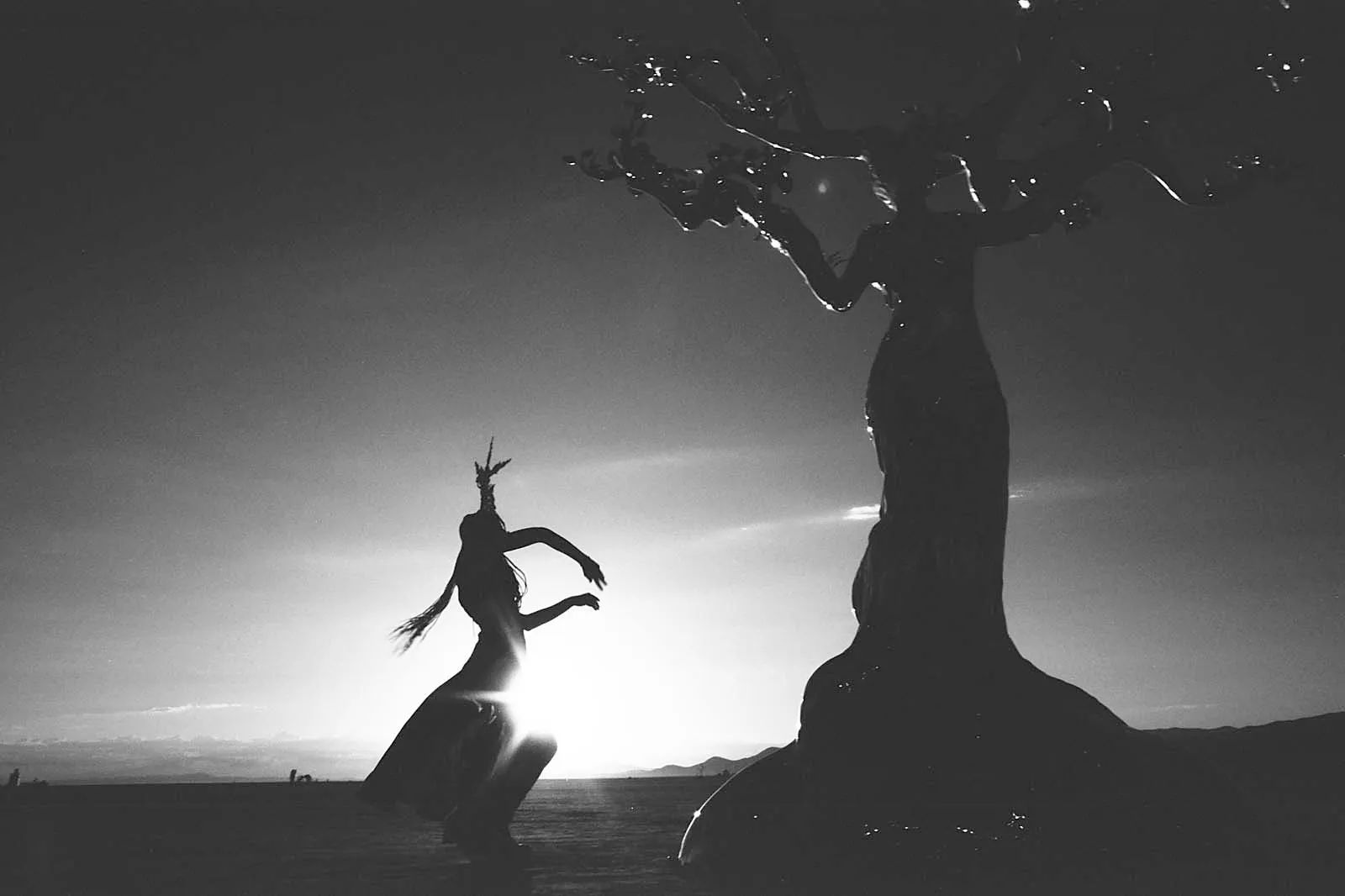 Utopia XIV (乌托邦之十四), Burning Man, 2017–2019, photo 28 by Felix Tian
