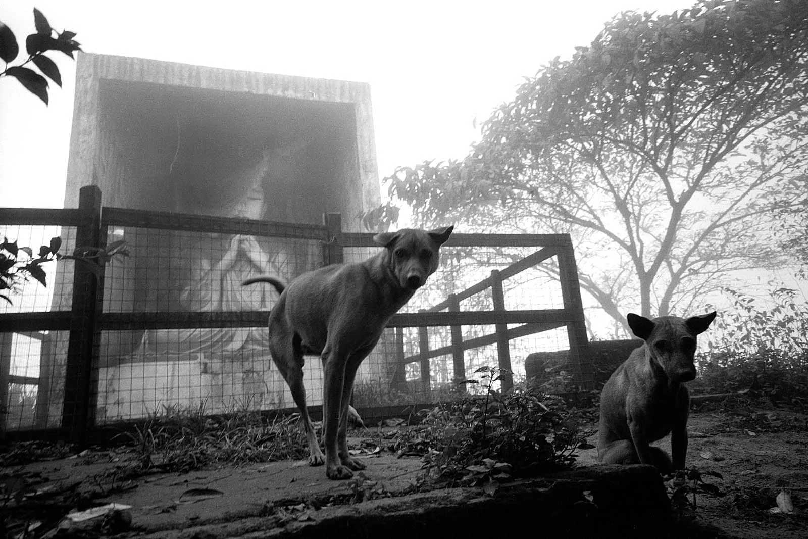 Garden of Gods (神的花园), Myanmar · Laos · Cambodia, 2013, photo 2 by Felix Tian
