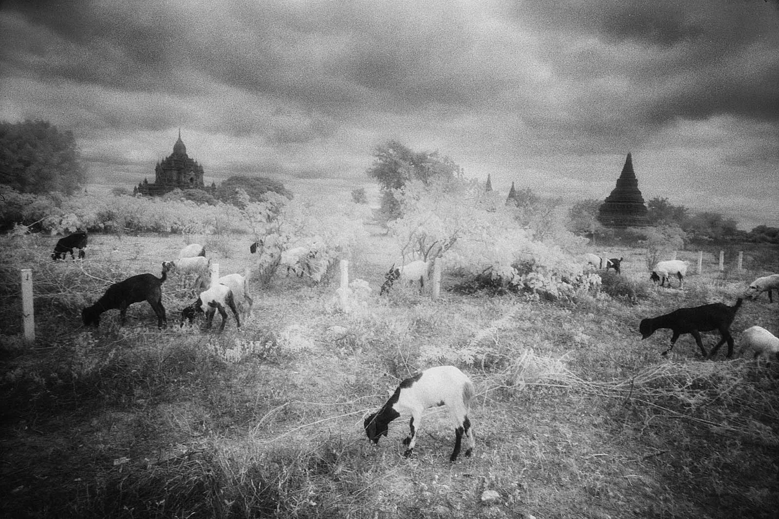 Garden of Gods (神的花园), Myanmar · Laos · Cambodia, 2013, photo 29 by Felix Tian