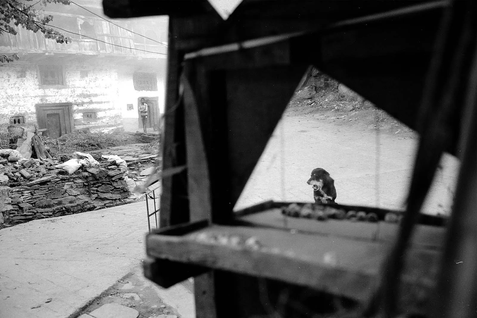 India Sutra (印度心经), India, 2011, photo 17 by Felix Tian