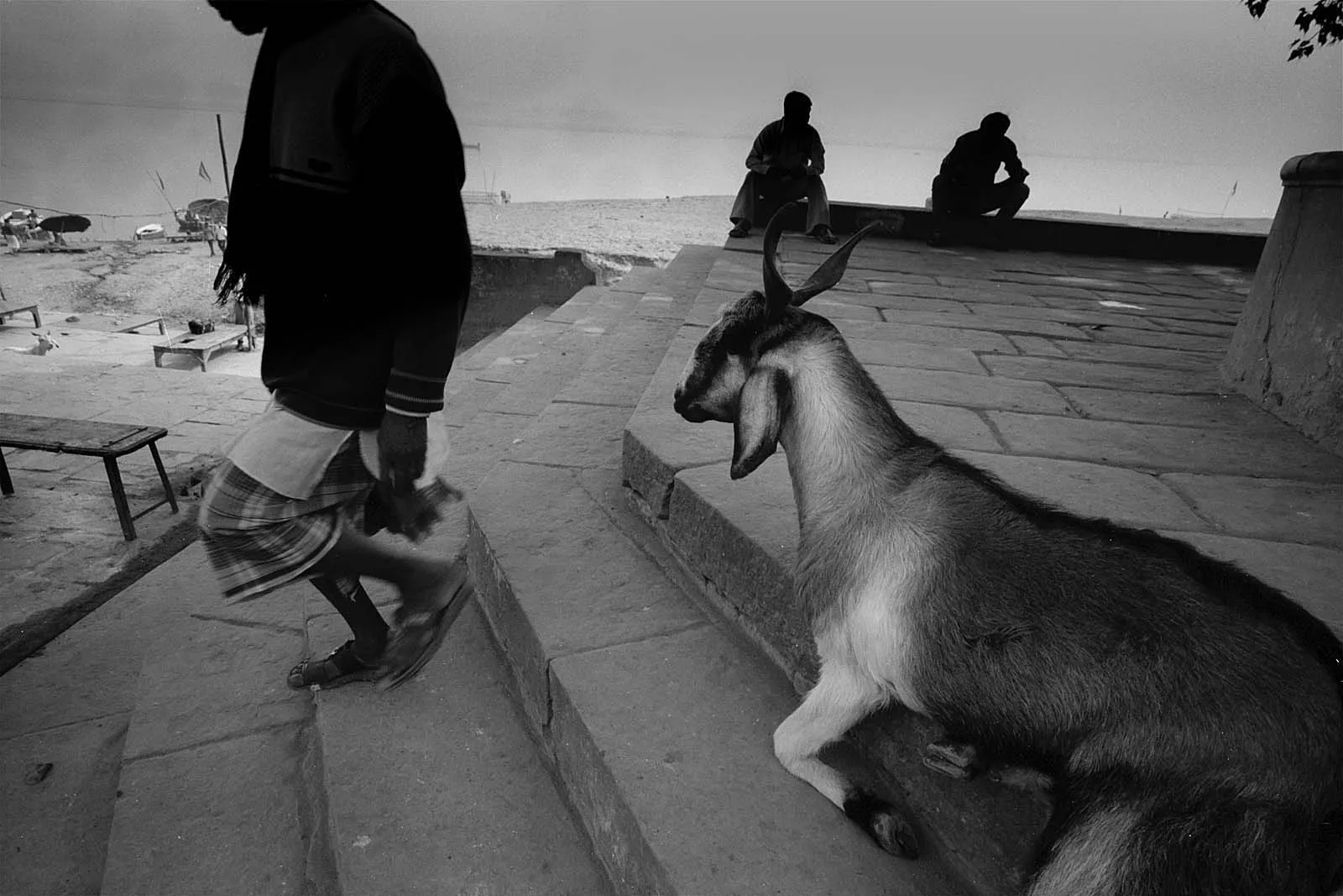 India Sutra (印度心经), India, 2011, photo 59 by Felix Tian