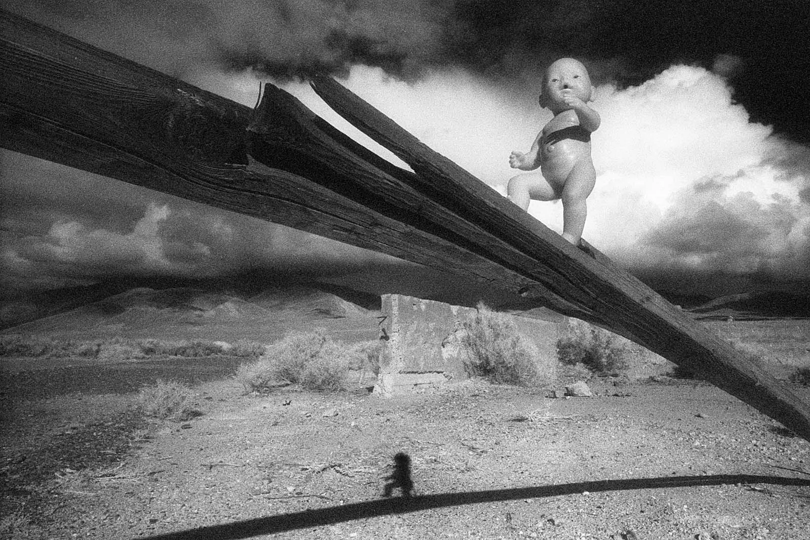 Journey (旅程), California, photo 6 by Felix Tian