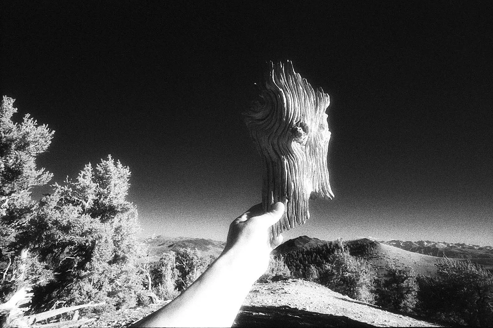 Journey (旅程), California, photo 13 by Felix Tian