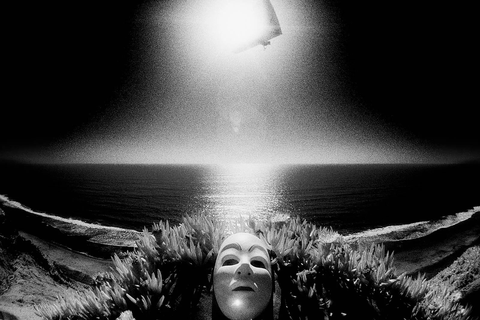 Journey (旅程), California, photo 14 by Felix Tian