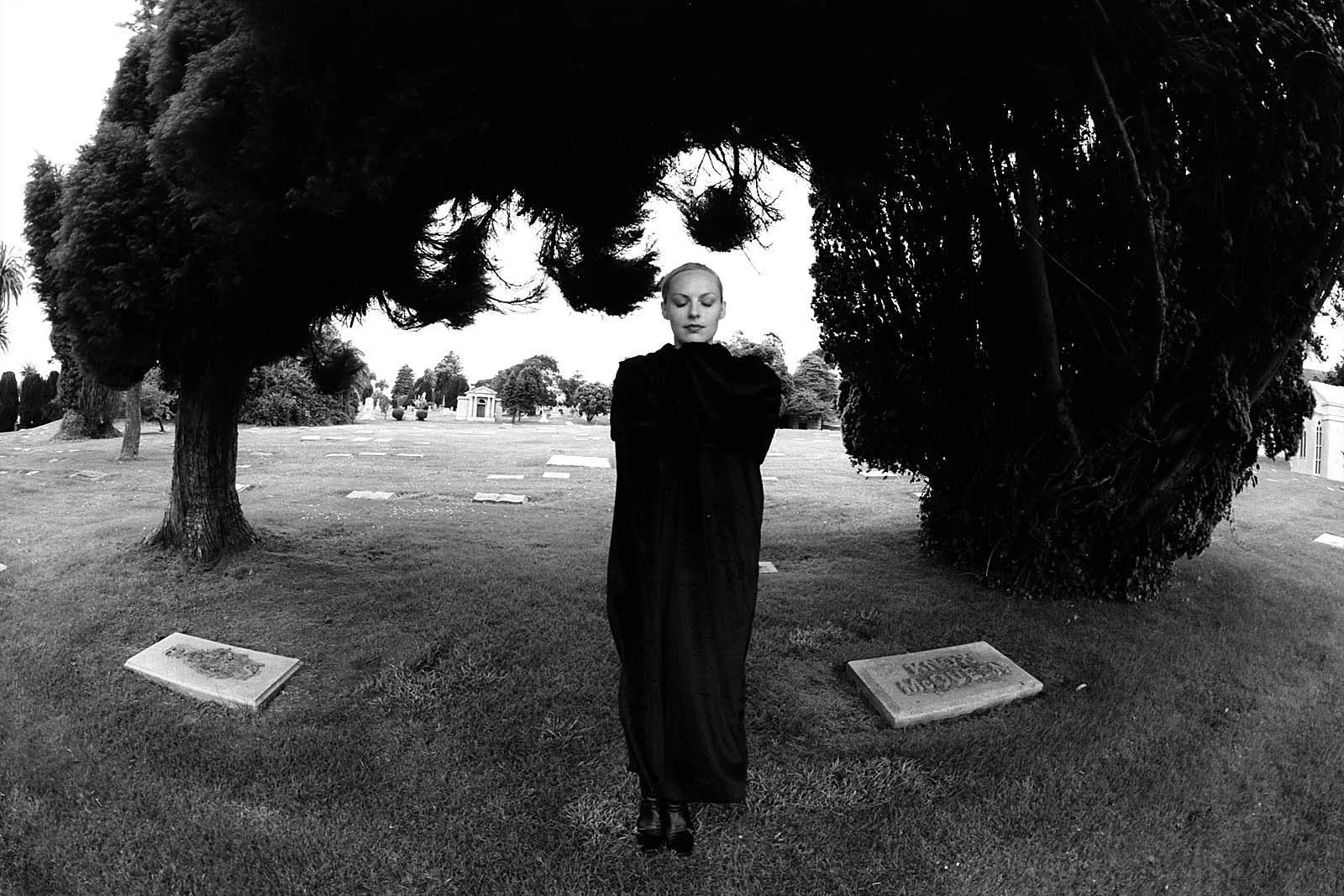 Requiem (安魂曲), California, 2011, photo 2 by Felix Tian