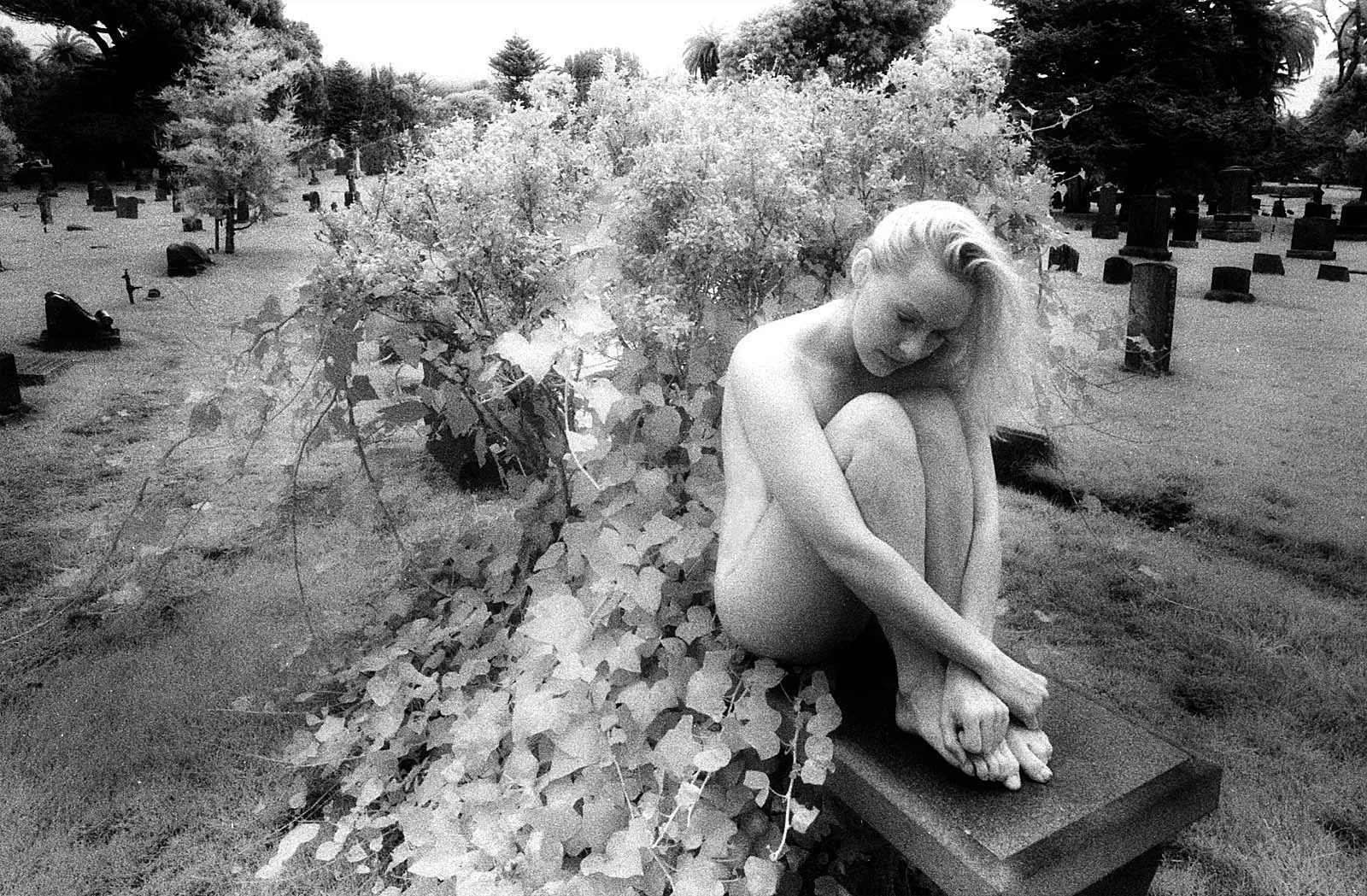 Requiem (安魂曲), California, 2011, photo 10 by Felix Tian