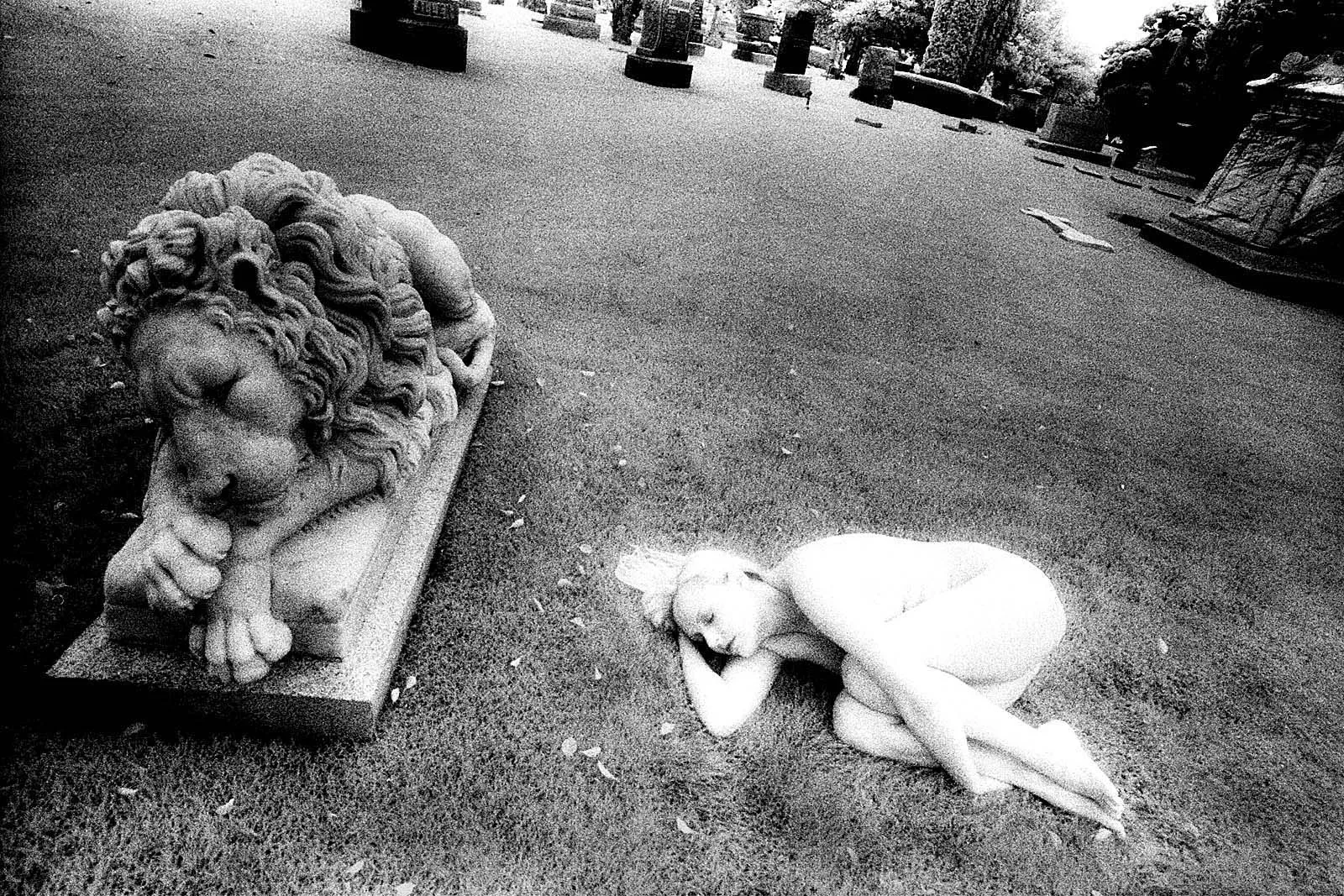 Requiem (安魂曲), California, 2011, photo 13 by Felix Tian