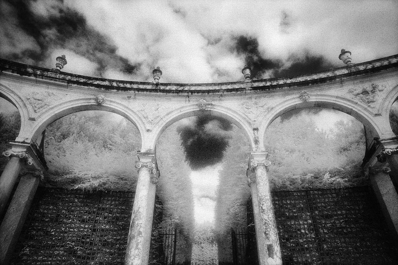 Roses in Gloaming (黄昏玫瑰), Europe, 2015, photo 8 by Felix Tian