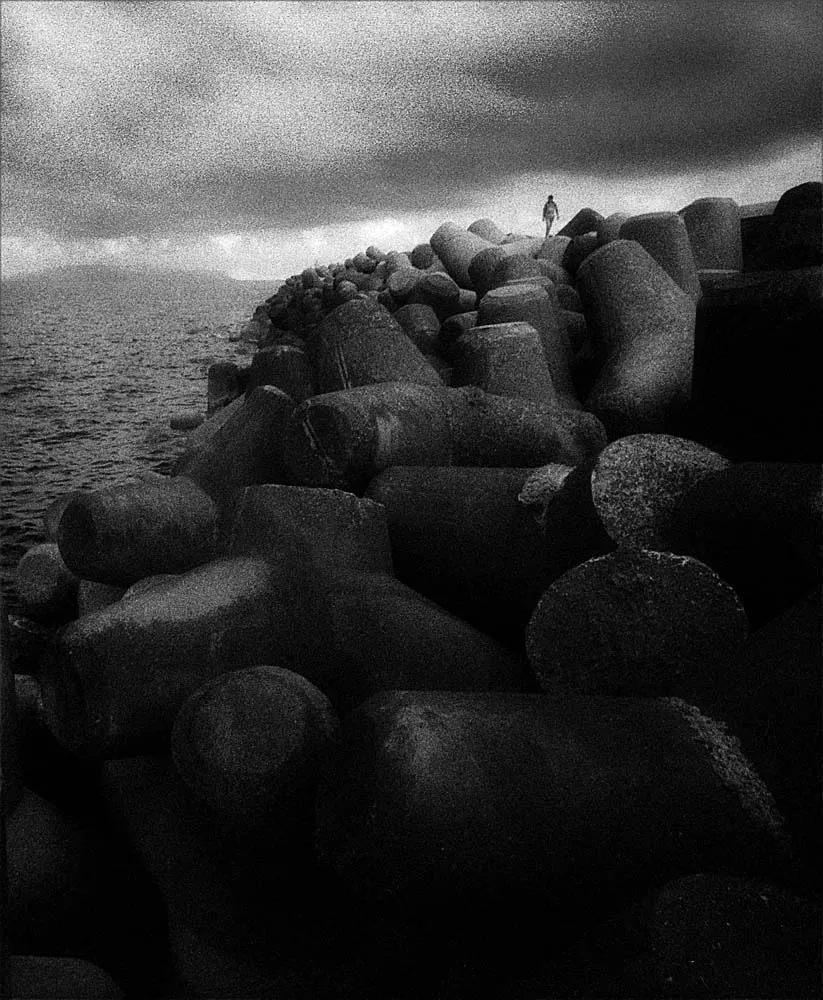 Roses in Gloaming (黄昏玫瑰), Europe, 2015, photo 12 by Felix Tian