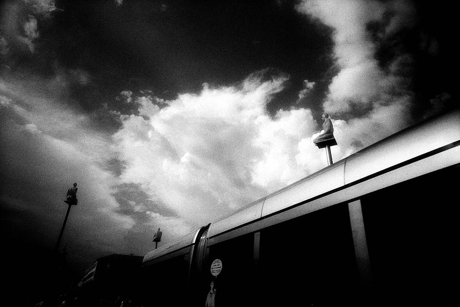 Roses in Gloaming (黄昏玫瑰), Europe, 2015, photo 15 by Felix Tian