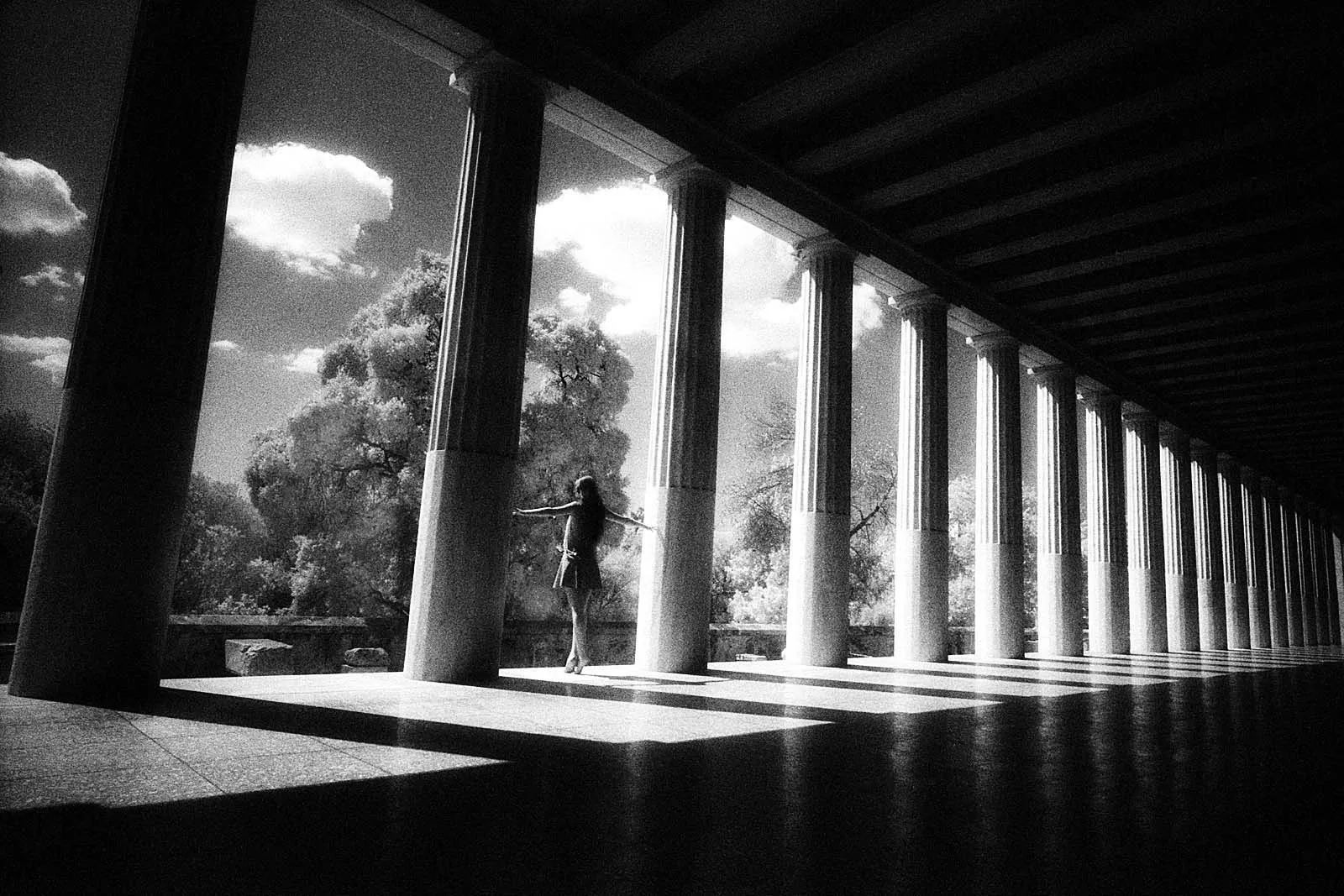 Roses in Gloaming (黄昏玫瑰), Europe, 2015, photo 16 by Felix Tian