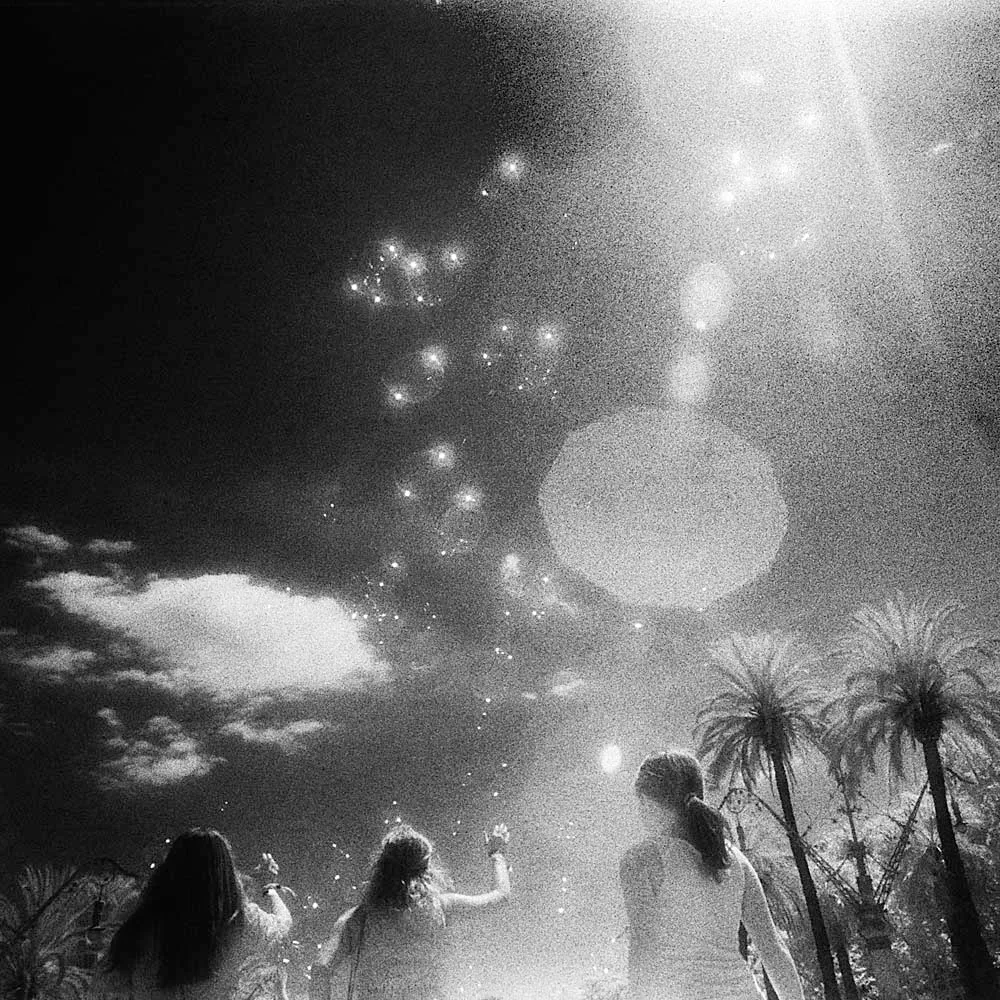 Roses in Gloaming (黄昏玫瑰), Europe, 2015, photo 17 by Felix Tian