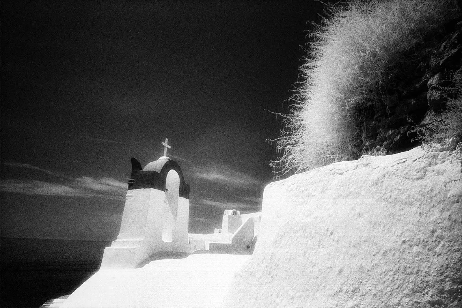 Roses in Gloaming (黄昏玫瑰), Europe, 2015, photo 20 by Felix Tian