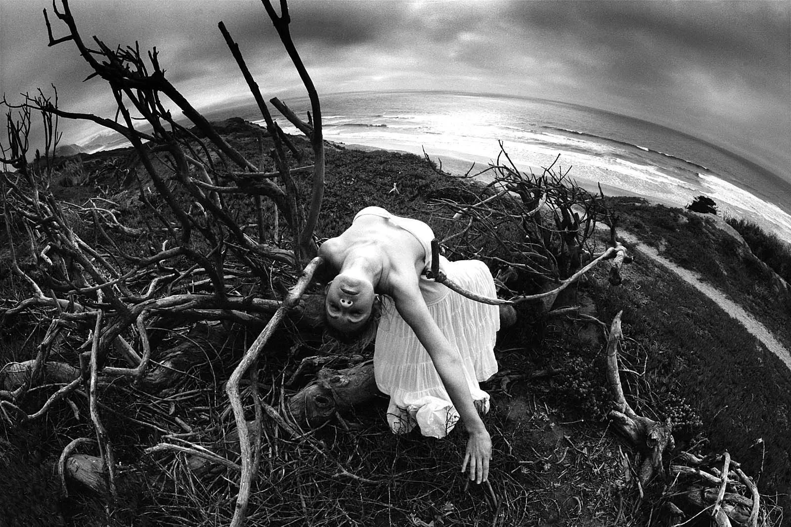 Siren (海妖), California, 2011, photo 5 by Felix Tian