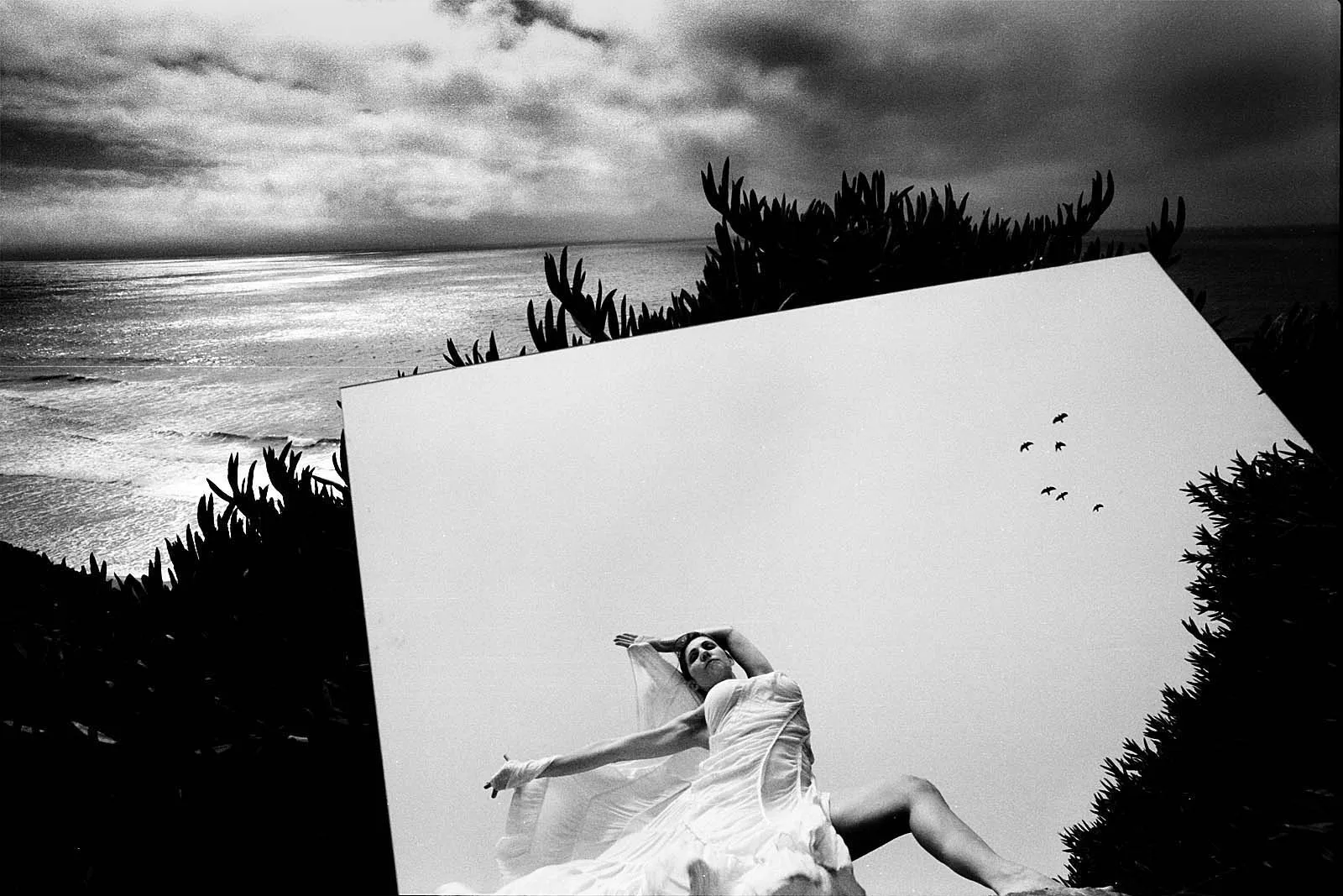 Siren (海妖), California, 2011, photo 16 by Felix Tian