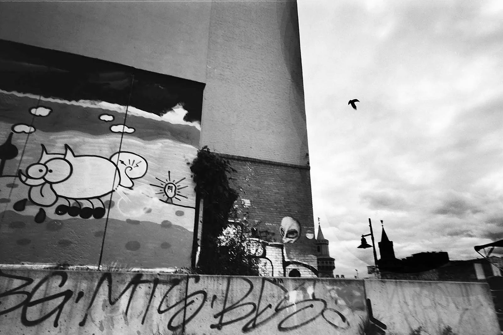 Socialism Dreams (社会主义梦想), Budapest · Berlin, 2016, photo 8 by Felix Tian