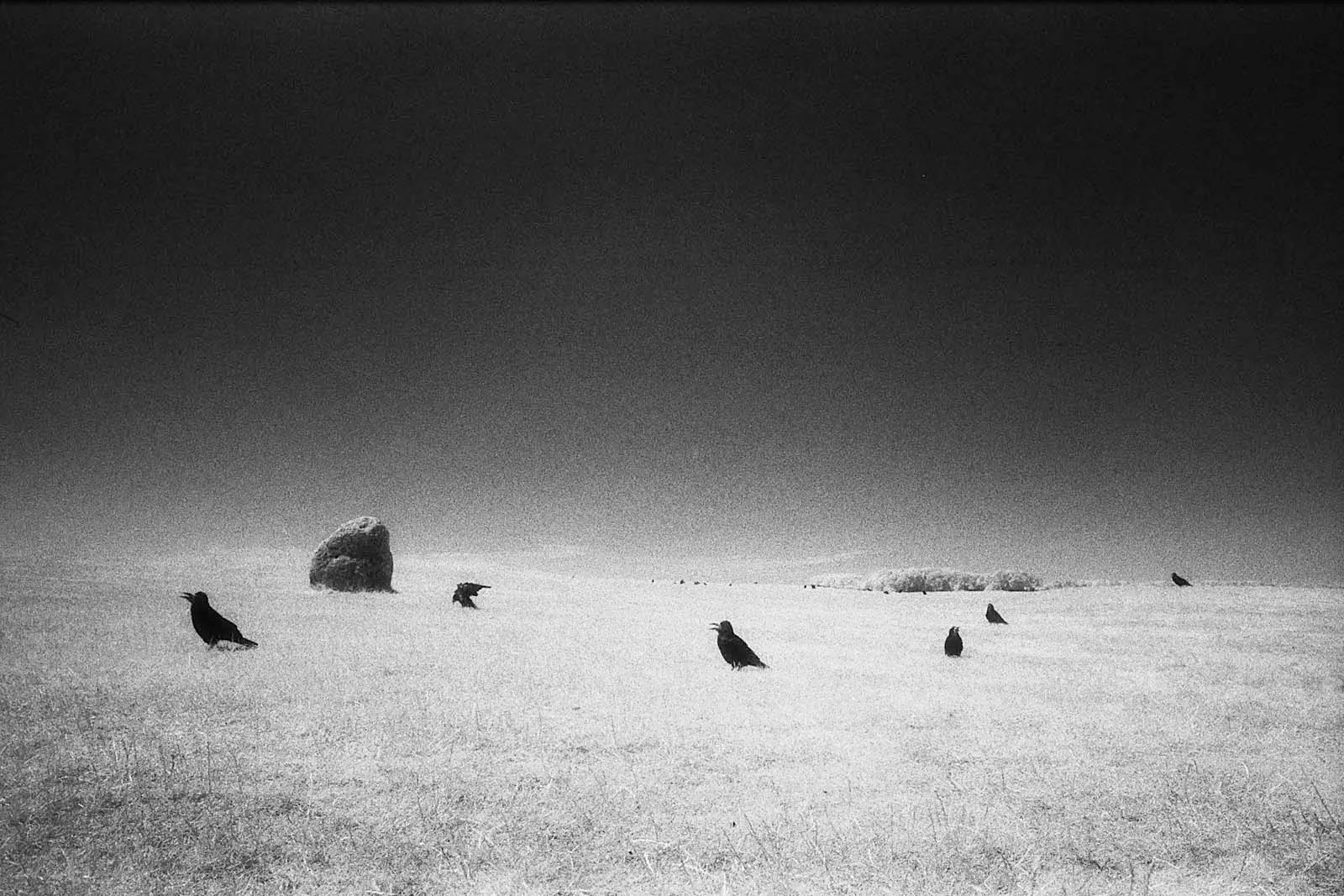 The Sun Never Sets (日不落), UK, 2018, photo 10 by Felix Tian