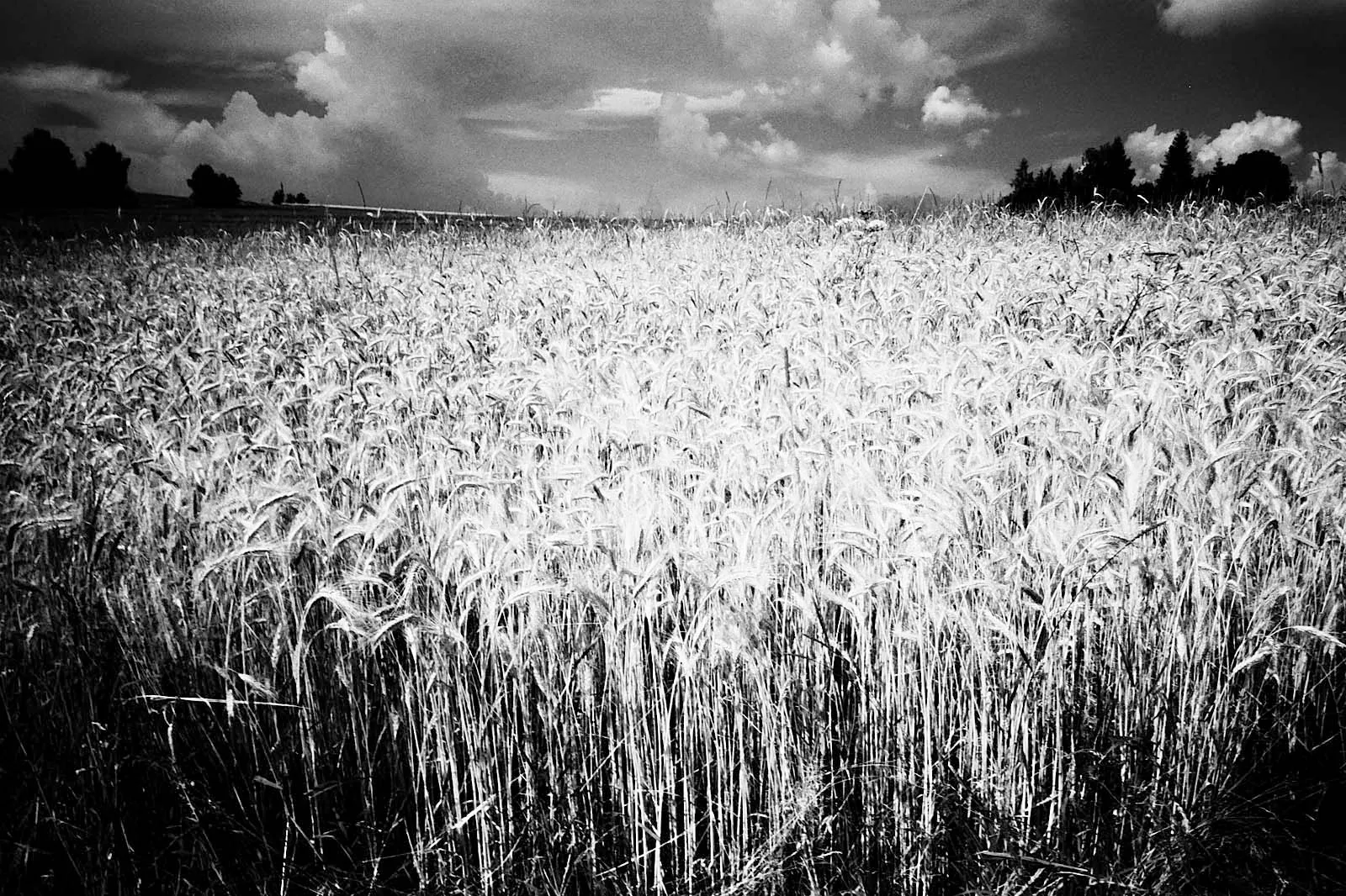 Where We Met (风情), Prague, 2016, photo 8 by Felix Tian
